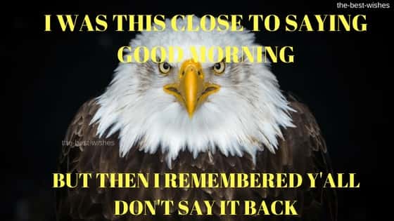 Eagle Images with Good Morning meme