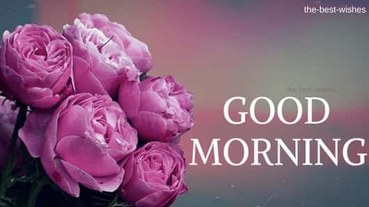 Good Morning Wishes With Pink Roses Bouquet Pictures