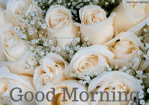 Good Morning Wishes With White Rose bouquet Pictures