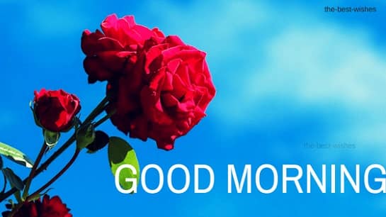 Good Morning Wishes with Red Roses with sky Pictures