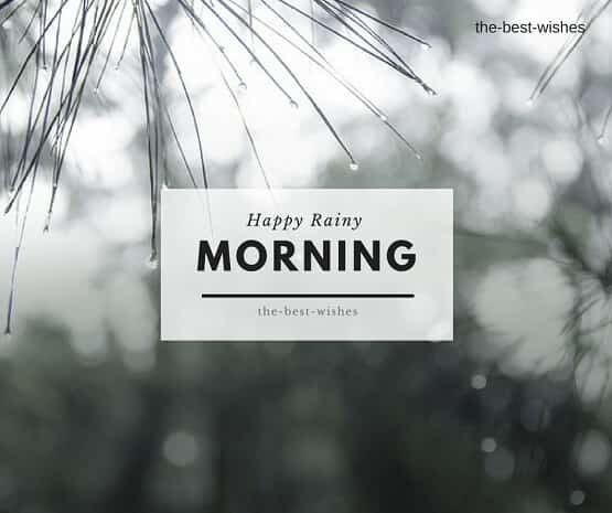 good-morning-with-rain-nature-image