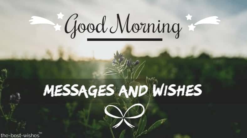 300+ Best Good Morning Messages, Wishes And Inspirational Quotes