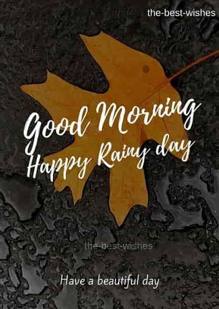 happy-rainy-good-morning-nature
