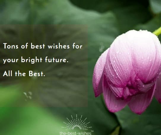 Wish you all the best quote sayings