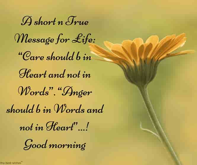 a gud morning sms with yellow flower