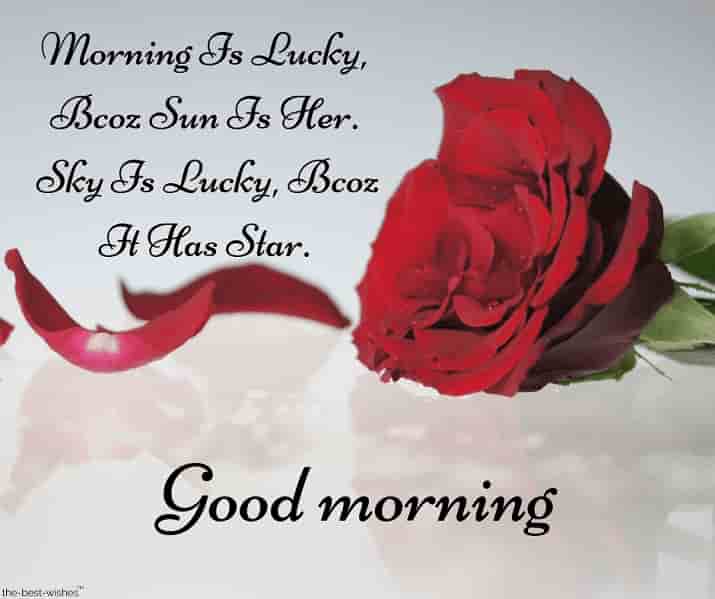 a romantic good morning sms for her with red rose