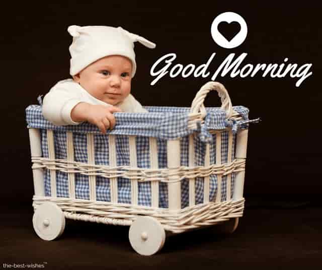 adorable baby basket beautiful boy picture