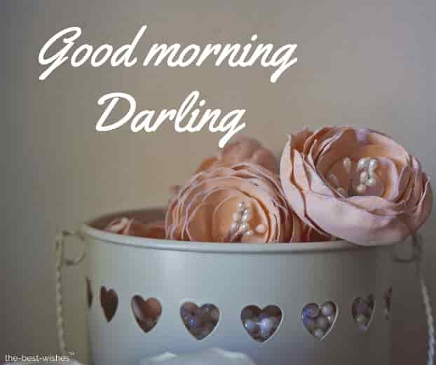 amazing good morning darling pic