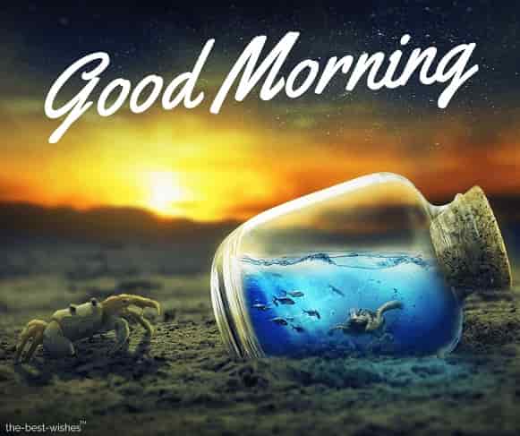 200+ Stunning Good Morning Wallpaper Images and HD Greetings