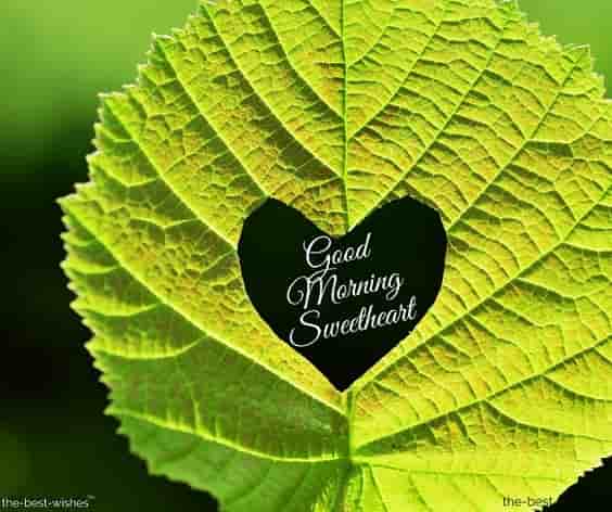 awesome good morning photo with leaf heart