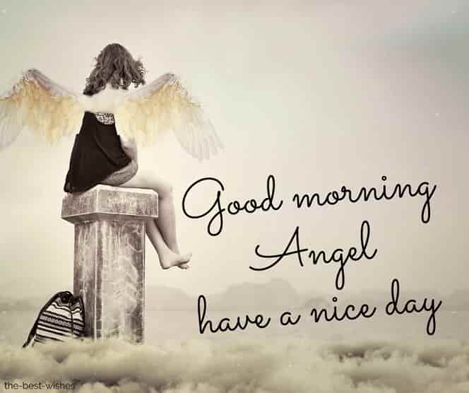 beautiful angel pictures have a nice day
