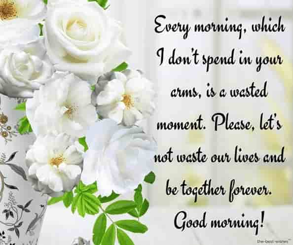 beautiful good morning text with white flower pot