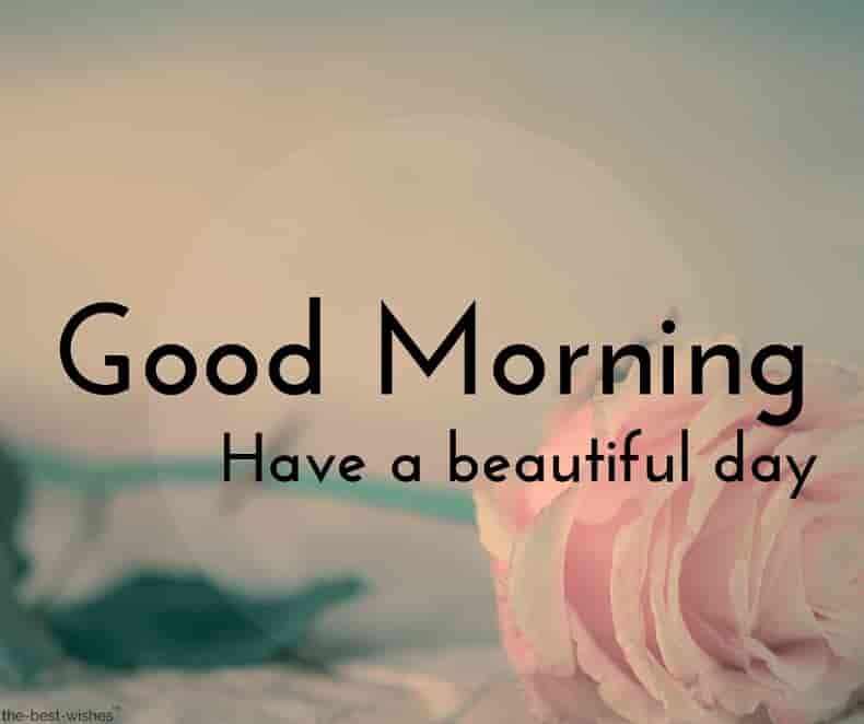 150+ Beautiful Good Morning Images [ Best Collection ]