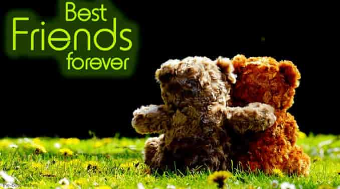 best friends forever with cute teddy bear