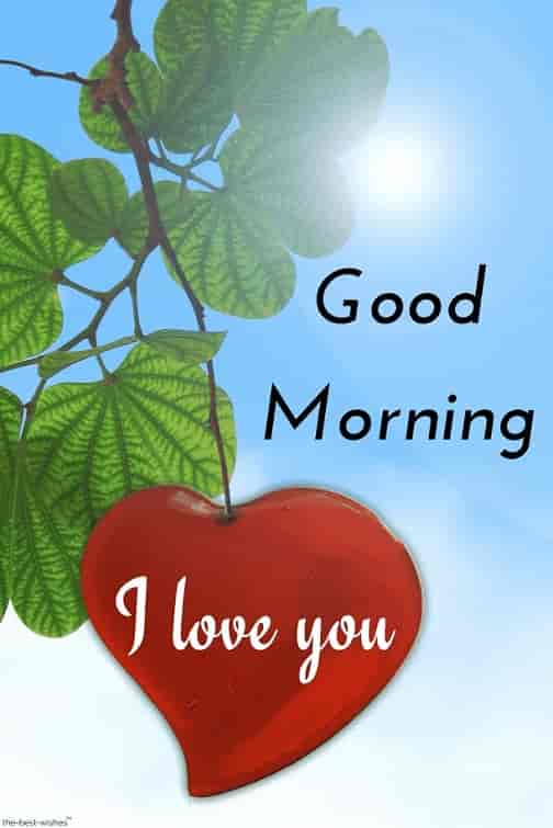 best good morning images for lover i love you