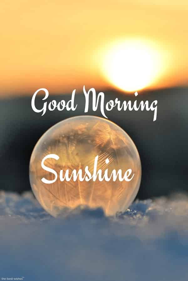 best good morning sunshine wishes