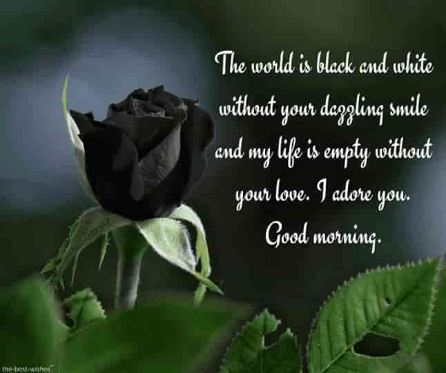 best good morning text ever with black rose