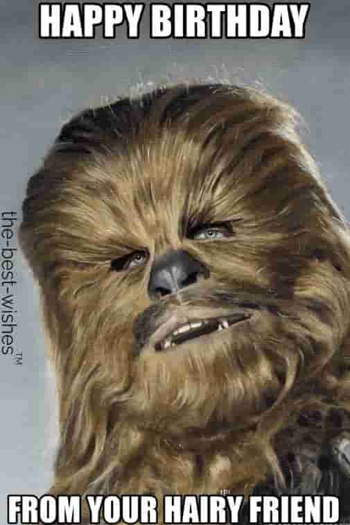 chewbacca funny birthday memes from your hairy friend