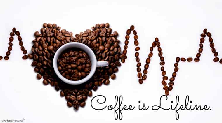 coffee is lifeline