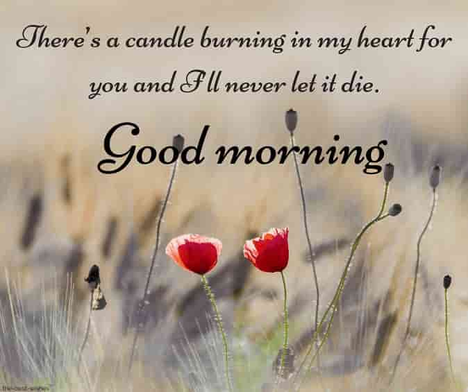 cute good morning text for her crush with beautiful nature field