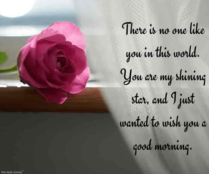 cute good morning text messages for your crush with rose and shining sun