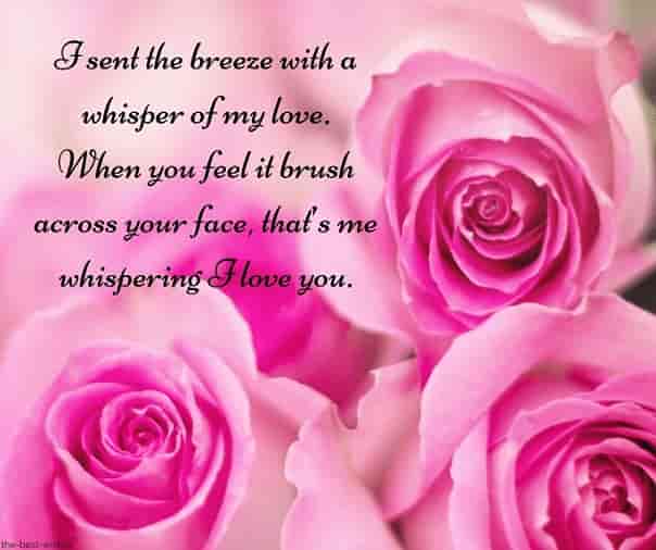 cute text msg with roses