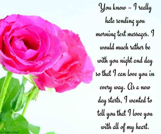 deep good morning messages for him with pink roses