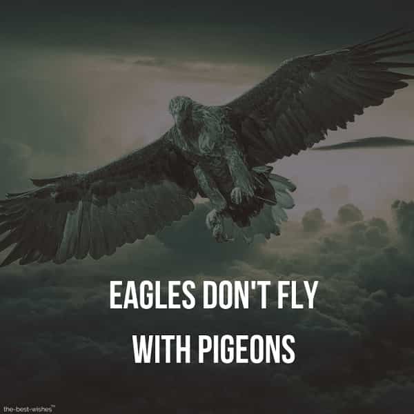 Inspiring Quotes Images on Flying Like an Eagle.