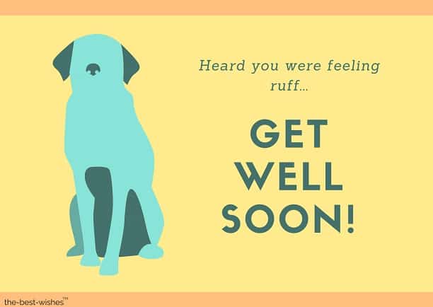 feeling ruff dog get well soon messages