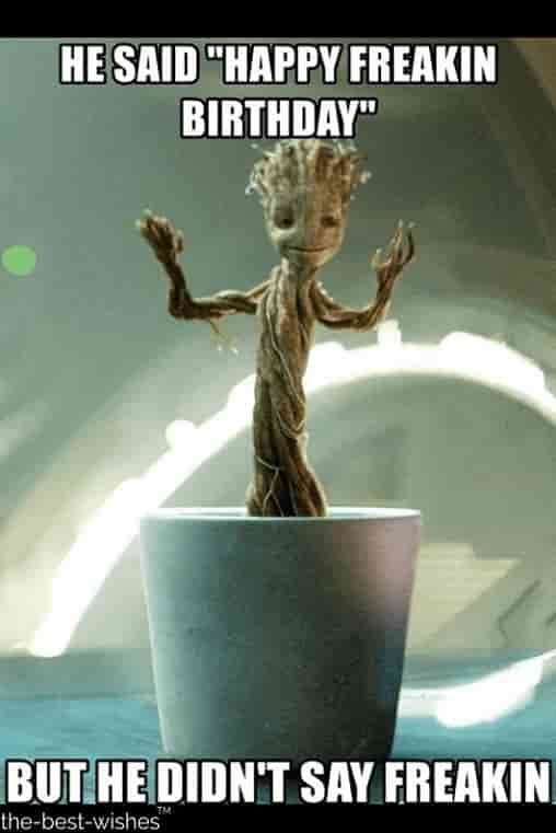 freakin groot memes for birthday