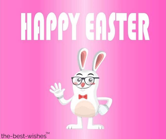 funny easter wishes with white rabbit