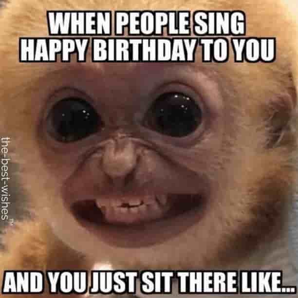 funny happy birthday images with monkey