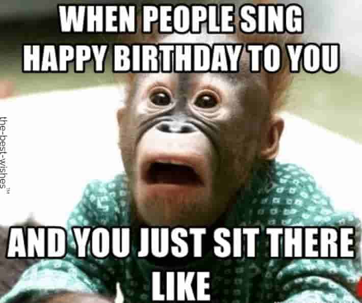 funny shocked monkey memes for birthday