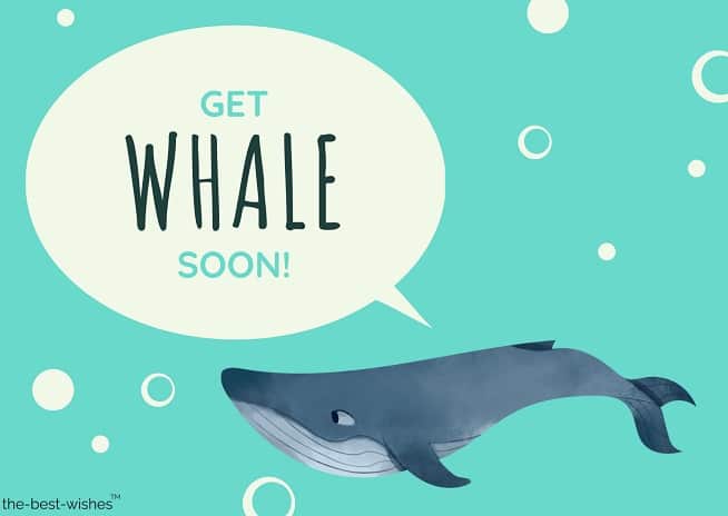 funny whale get well soon card