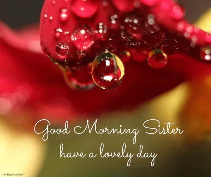 gd mrng sister have a lovely day