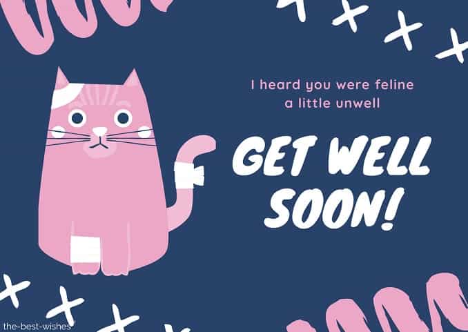 get well soon messages for cats