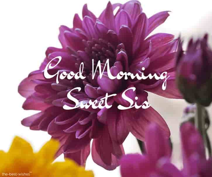 120+ Lovely Good Morning Wishes For Sister [ Hd Images And Greetings ]