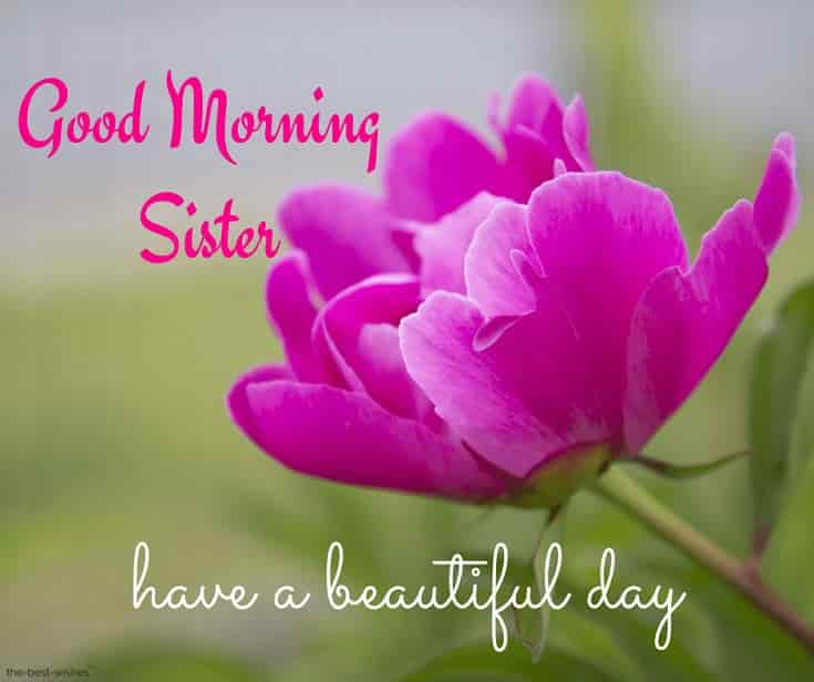 gm sister have a beautiful day