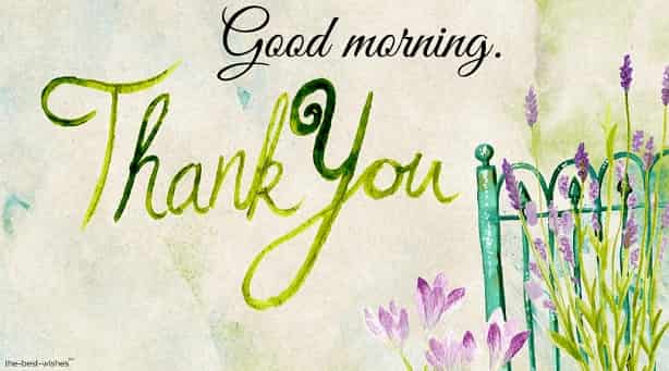 gm thank you thanks greeting card