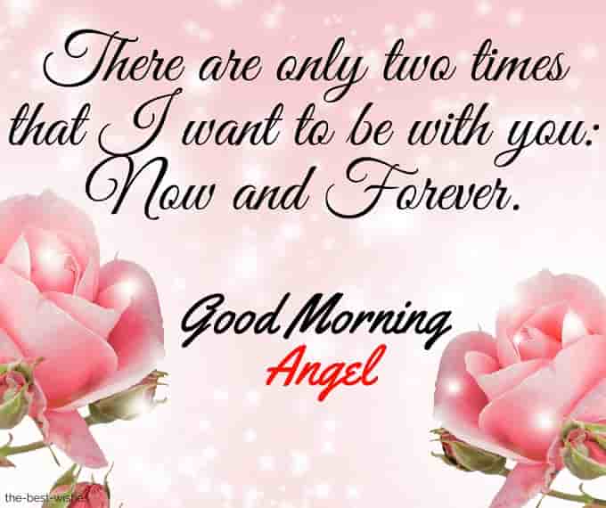 good morning angel cards