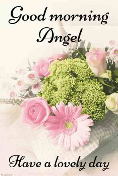 good morning angel hd images with flowers have a lovely day
