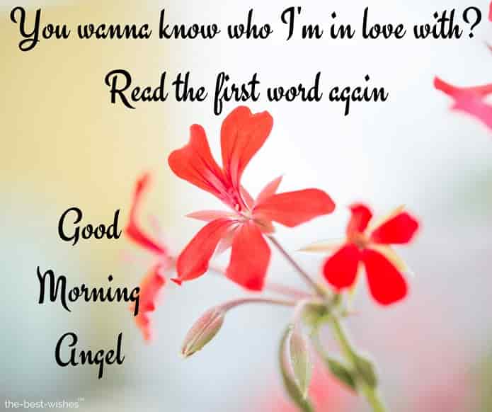 good morning angel love quotes