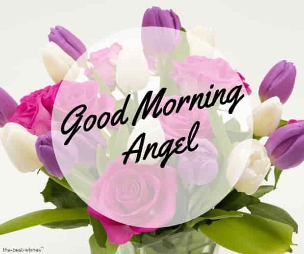 good morning angel photos