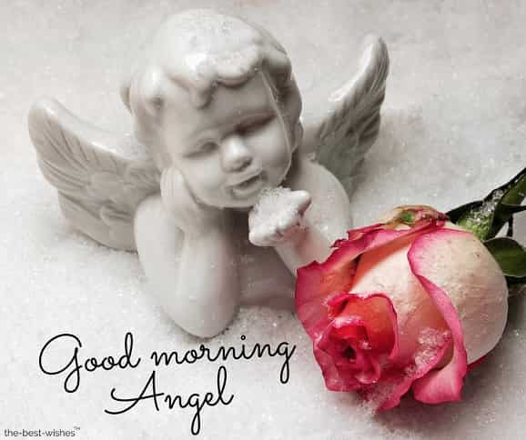good morning angel pic