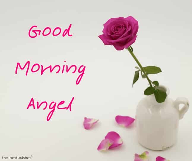good morning angel pictures
