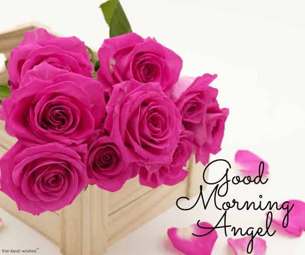 good morning angel with roses