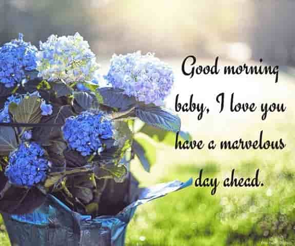 good morning baby i love you have a good day text