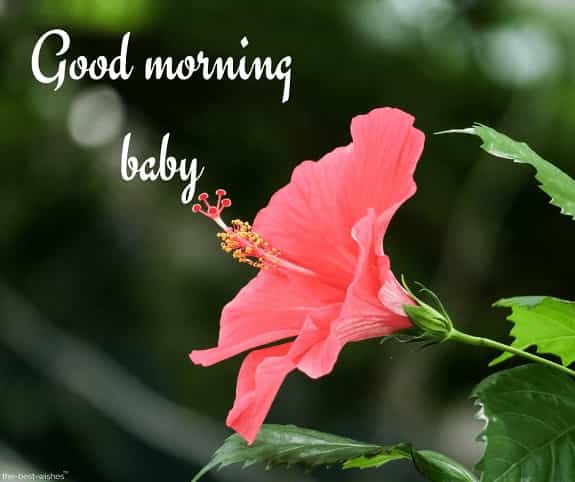 good morning baby with a pink flower