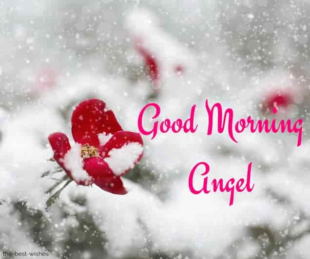 good morning beautiful angel images