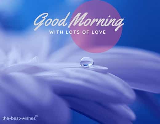 good morning beautiful flowers pictures with drop of water drip